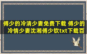 傅少的冷清少妻免费下载 傅少的冷情少妻沈湘傅少钦txt下载百度网盘